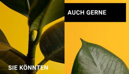 Minimalismus In Formen #Html-Templates-De-Seo-One-Item-Suffix