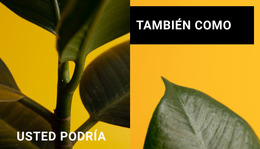 Minimalismo En Formas - Inspiración De Plantilla Joomla