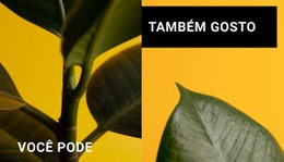 Minimalismo Nas Formas #Html5-Template-Pt-Seo-One-Item-Suffix