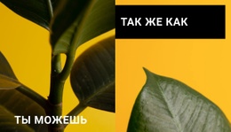 Минимализм В Формах – Шаблон HTML-Страницы