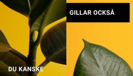 Minimalism I Former - Målsida