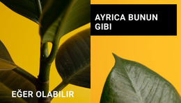 Formlarda Minimalizm - Ücretsiz Css Teması