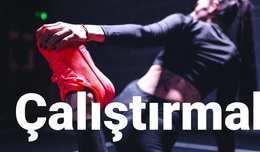 Hız Ve Dayanıklılık - Çok Amaçlı WordPress Teması