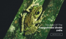 Varianty Motivu Bootstrap Pro Fotografování Divoké Zvěře