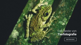 Tierfotografie - HTML Ide