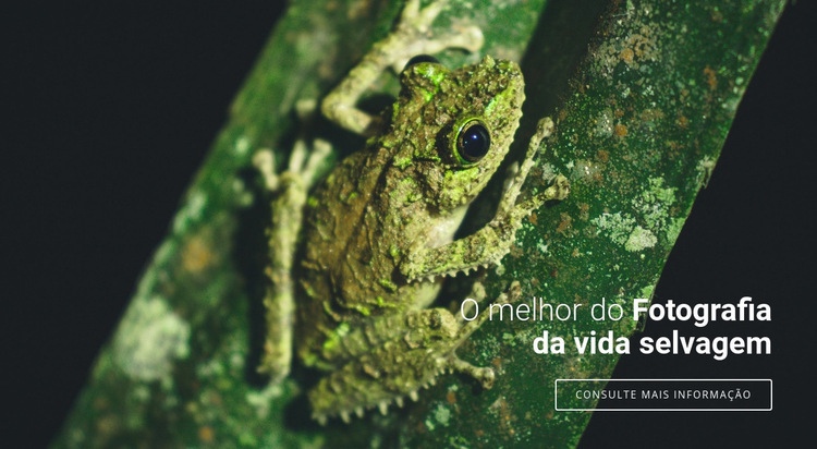 Fotografia de vida selvagem Landing Page