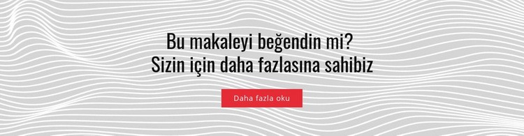 Bu makaleyi beğendim Bir Sayfa Şablonu