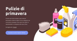 Pulizie Di Primavera - Modello Online