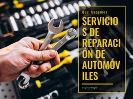 Proveedor De Servicios Dedicado