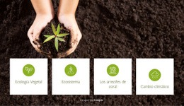 Ecología Vegetal Y Ecosistema - Diseño Sencillo