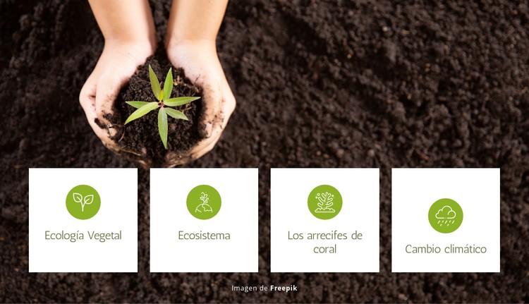 Ecología vegetal y ecosistema Plantilla CSS