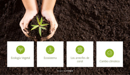Ecología Vegetal Y Ecosistema: Plantilla De Sitio Web Sencilla