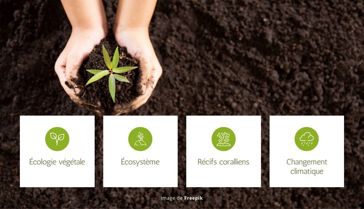 Écologie végétale et écosystème Maquette de site Web