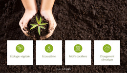 Écologie Végétale Et Écosystème : Modèle De Site Web Simple