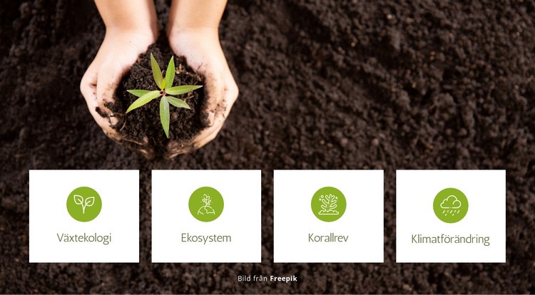 Växtekologi och ekosystem HTML-mall