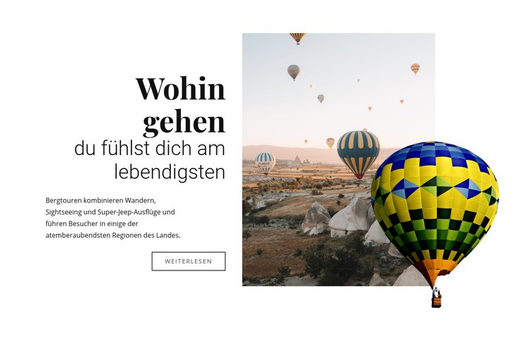 Fahrten mit dem Heißluftballon Website-Modell