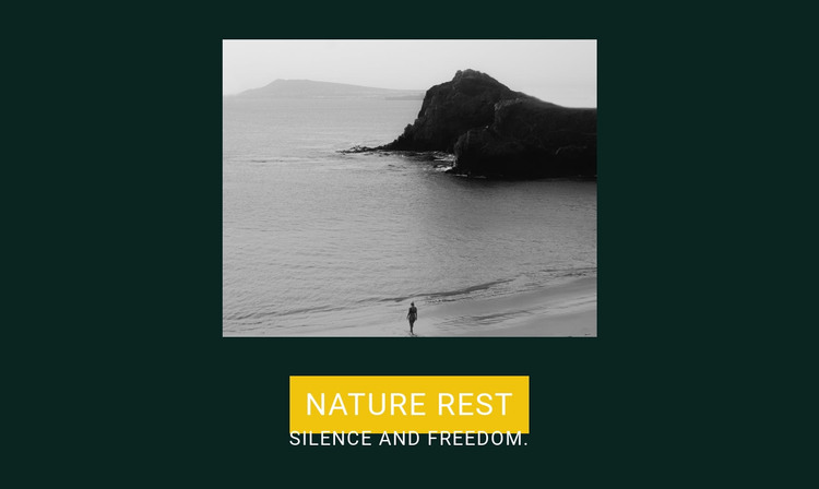 Silence and freedom Web Design