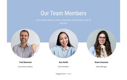 We Are Tight Knit Team - Website Design Template