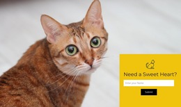 Visit Our Shelter Templates Html5 Responsive Free