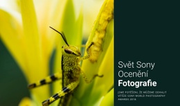 Světová Fotografie – Responzivní Téma WordPress