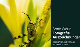 Kreativste Joomla-Vorlage Für Weltfotografie