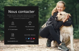 Modèle D'Une Page Pour Contacts École Canine