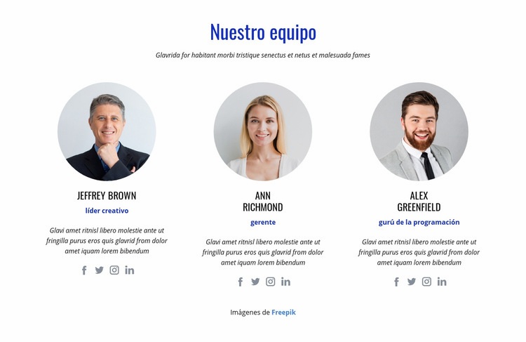 Un equipo internacional de expertos Maqueta de sitio web