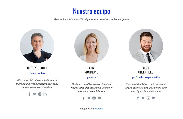 Un equipo internacional de expertos Plantilla HTML