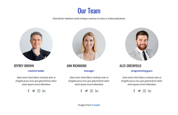 An international team of experts Homepage Design