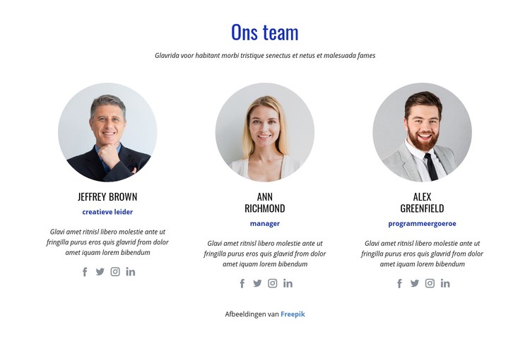 Een internationaal team van experts CSS-sjabloon