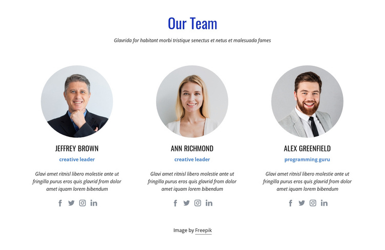 An international team of experts One Page Template