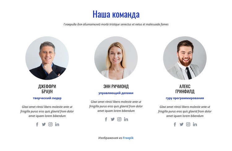 Международная команда экспертов Дизайн сайта