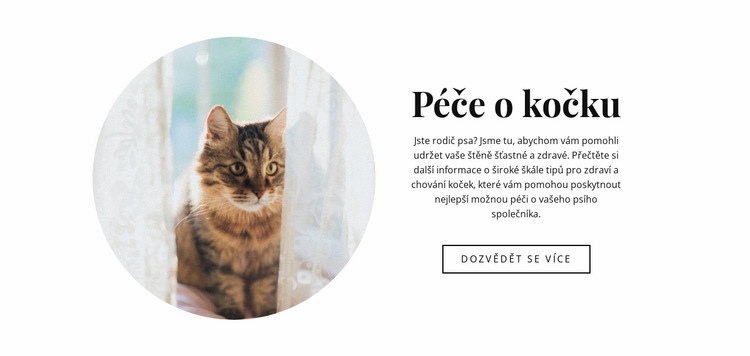 Péče o kočku Šablona webové stránky
