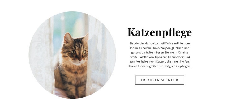 Katzenpflege Website Builder-Vorlagen