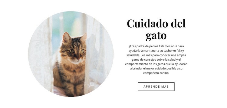 Cuidado del gato Maqueta de sitio web