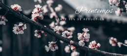 Le Printemps Est Venu Modèle De Site Web HTML CSS