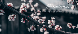 Le Printemps Est Venu - Un Magnifique Thème WordPress