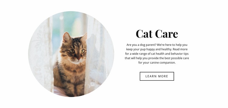 Cat care Html Code Example