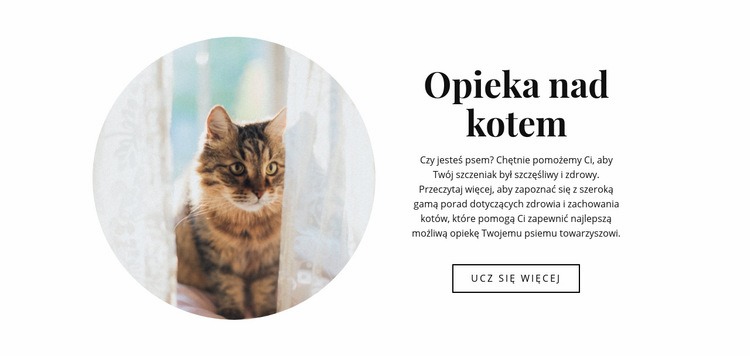 Opieka nad kotem Makieta strony internetowej