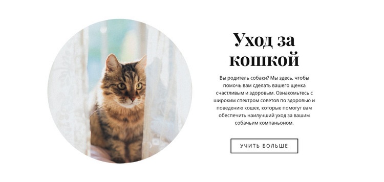 Уход за кошкой Дизайн сайта