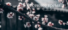 Пришла Весна – Красивая Тема WordPress