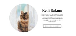 Kedi Bakımı