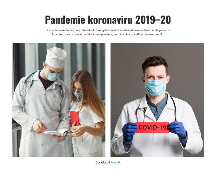 Pandemie koronaviru 2020 Šablona HTML