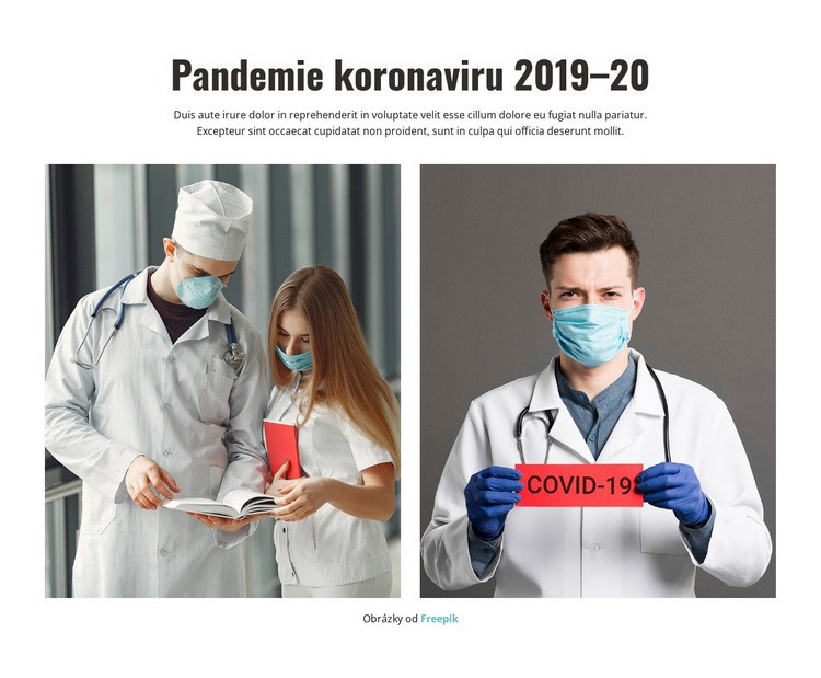 Pandemie koronaviru 2020 Šablona webové stránky