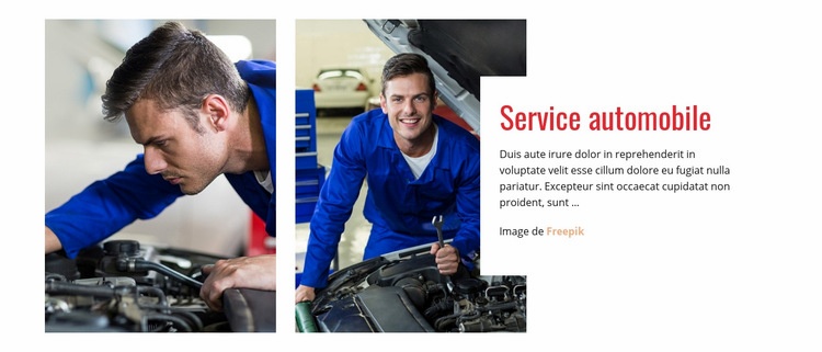 Experts au service rapide Modèle HTML5