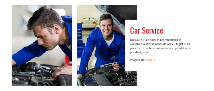 Experts in snelle service Sjabloon