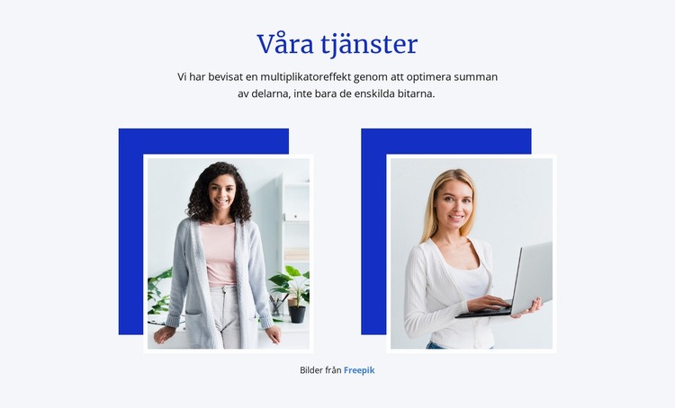 Våra konsulter arbetar med ditt team HTML-mall