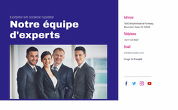 Notre Équipe D'Experts - Modèle Joomla Professionnel Gratuit