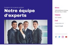 Notre Équipe D'Experts - Meilleure Page Gratuite