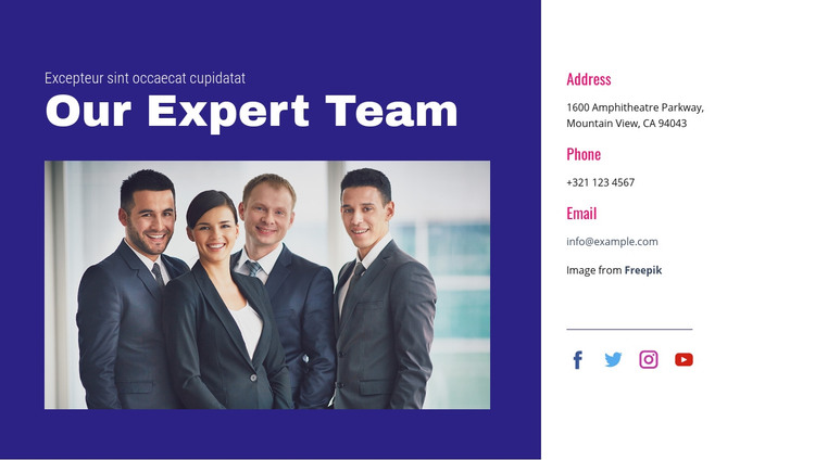 Our expert team Homepage Design